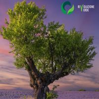 Verde e paesaggio: risorsa per la resilienza urbana