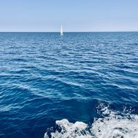 Un logo per i 100 anni della Federazione Italiana Vela