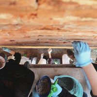 Miglioramento sismico, restauro e consolidamento del costruito storico e monumentale · XII edizione