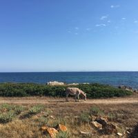 Una visione di valorizzazione e gestione del patrimonio architettonico e paesaggistico dell'Asinara