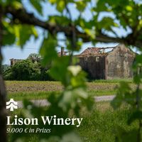 Una boutique winery contemporanea tra i vigneti del Veneto orientale