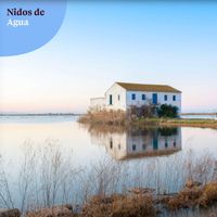 Abitare il paesaggio: una micro-architettura nel Parco de La Albufera, in Spagna