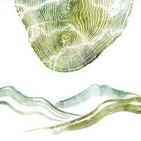 6 installazioni in legno per il Festival di Micro Architettura nel territorio di Pesaro-Urbino