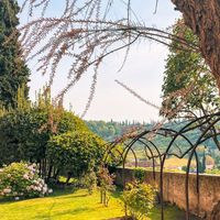 Interno Verde 2026. Tre weekend per scoprire 100 giardini segreti a Piacenza, Verona e Ferrara