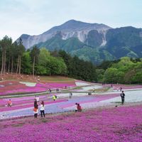 L'architettura giapponese oltre i cliché