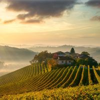 Uno spazio per la degustazione dei vini tra i Colli Tortonesi, in Piemonte