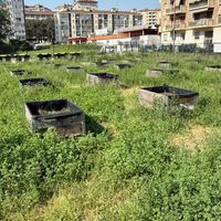 Torino, il cortile che vorrei: un progetto per trasformare i cortili delle scuole in rifugi climatici