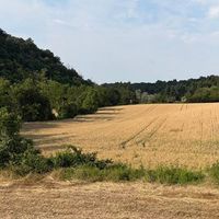 Un rifugio degli animali tra le colline piacentine