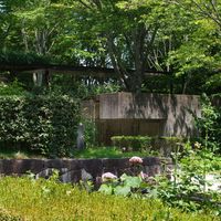 Master Future Garden. Progettare giardini, disegnare il paesaggio