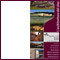 L'architettura del vino