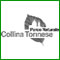 Le immagini della Collina Torinese