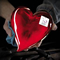 The Heart of Venice
