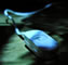 B/N Luce sul design 