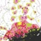Il futuro di Helsinki