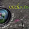 Ecofocus