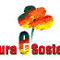 Fotovoltaico fai da te