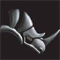 I plug-in di Rhinoceros